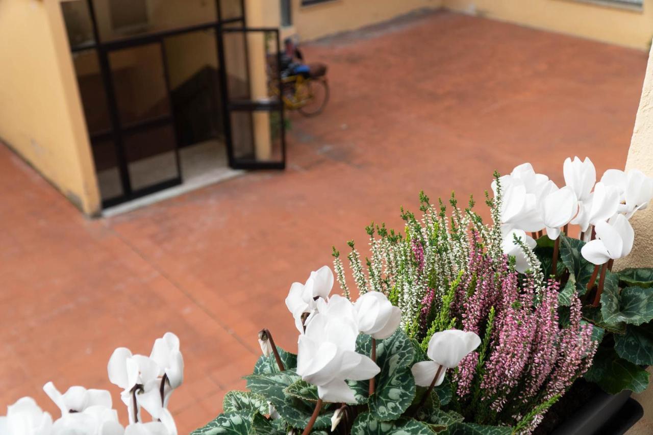 Beauty Intimate, Quiet And Apartment